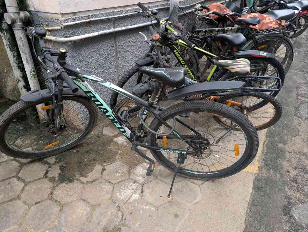 Bicycle - Roadeo Hercules 29"