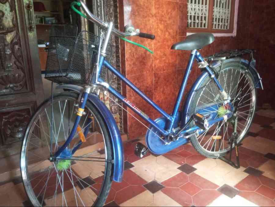 bycycle (school cycle)