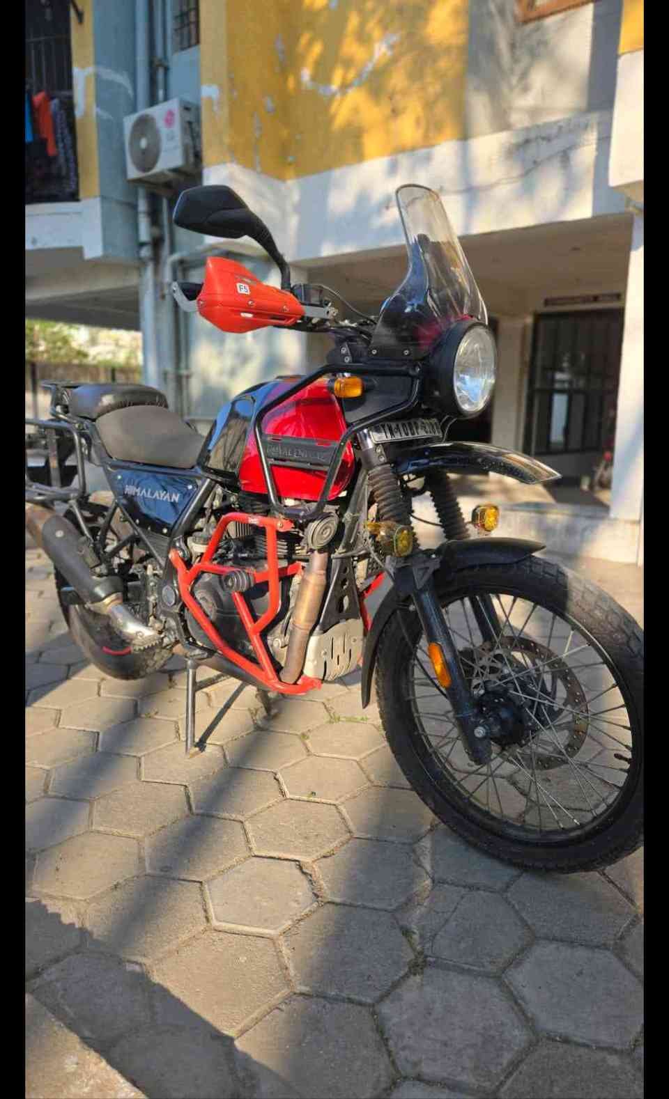 Himalayan