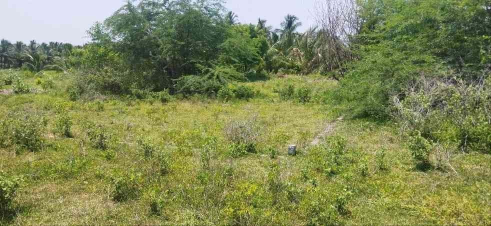 Empty Land for sale 1600 sq. ft
