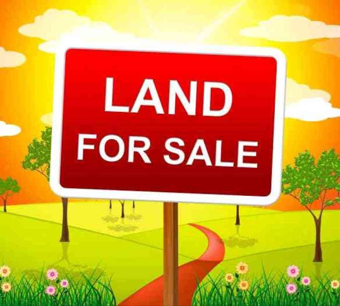 Gopuram View Land for Sale – Hurry Up!