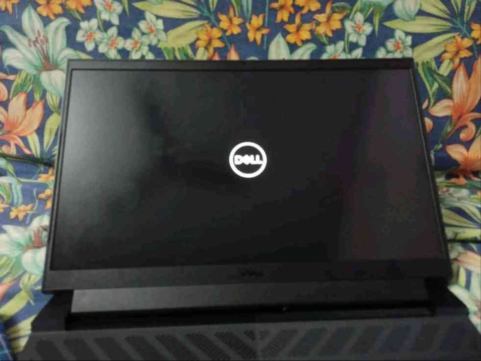 dell laptop