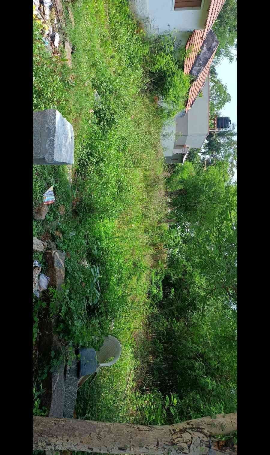 Empty land for sale