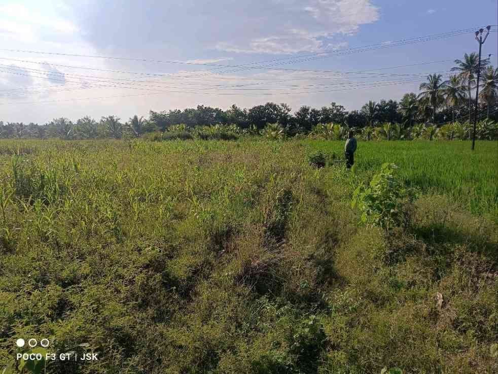 Agriculture land
