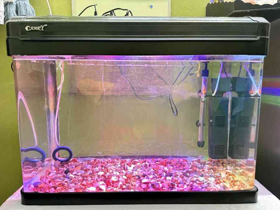 Fish tank with accessories
