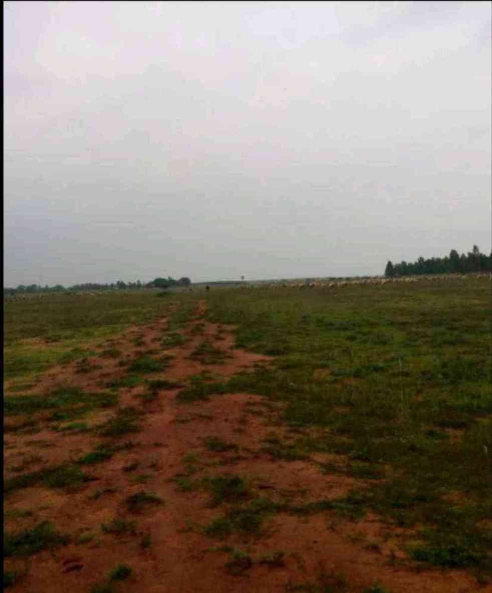 269 Acres Agricultural Land for Sale in Kamudhi