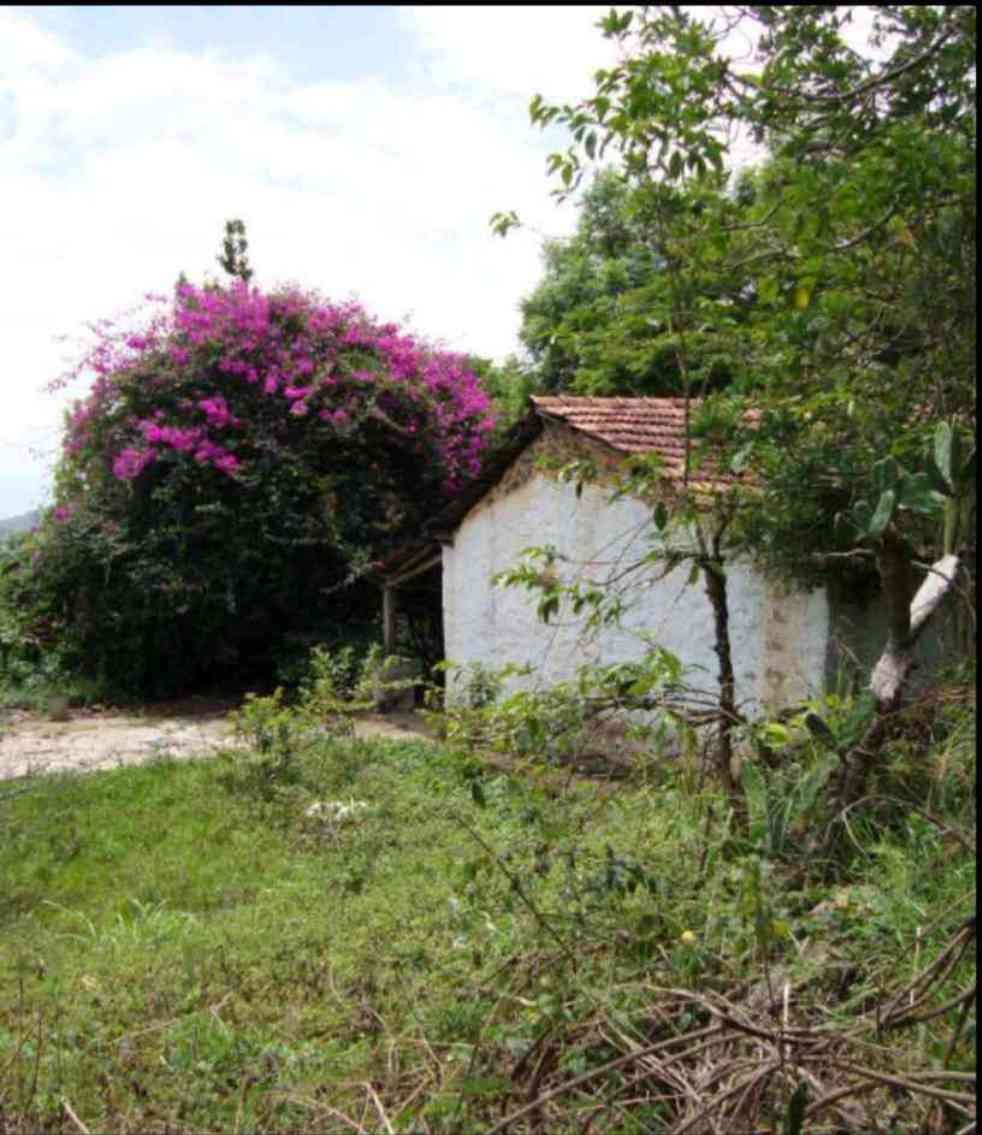 15 Acres Land FOR SALE - Kodaikanal - Vilpatti