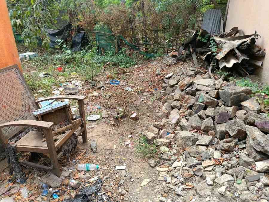 plot for sale in Hindu college