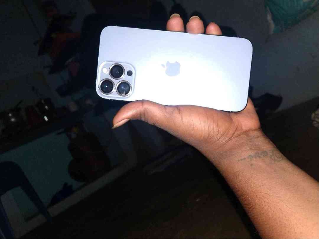 iPhone 13 pro max