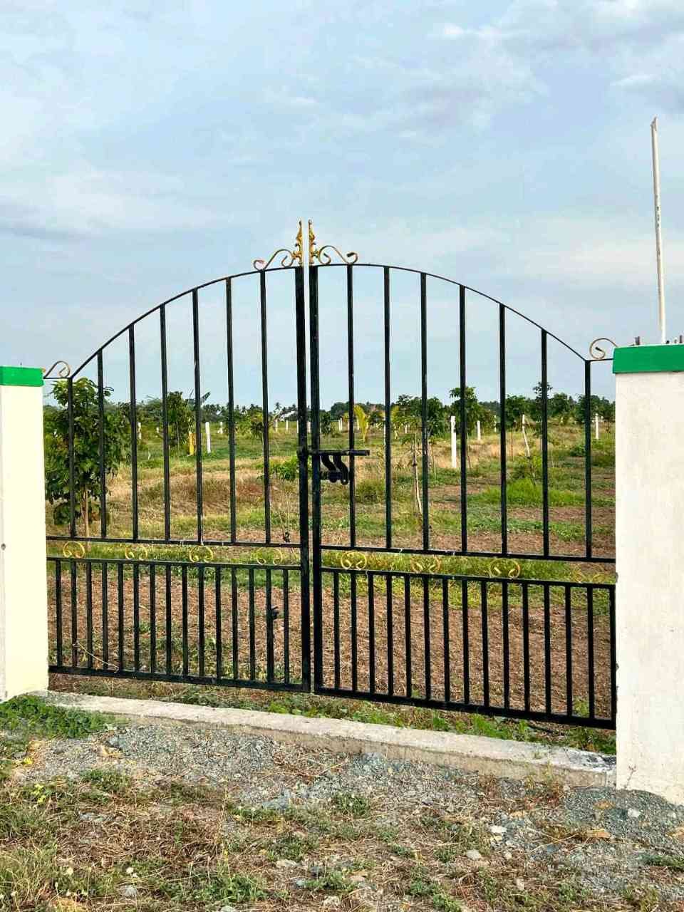 FARM LANDS